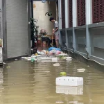 Gia Đình Cần Làm Gì Để Vệ Sinh Nhà Cửa Sau Mưa Ngập